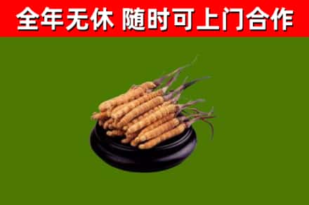 慈利县烟酒回收冬虫夏草.jpg